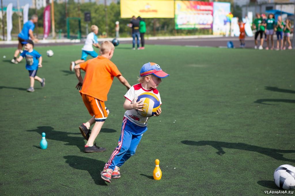 Спортфест (220)