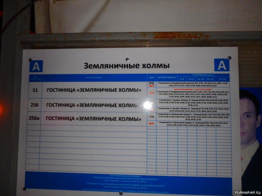 Земляничные холмы. Расписание автобусов