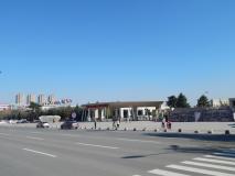 DSCN8653