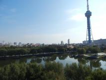 DSCN8566