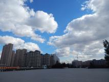 DSCN8143