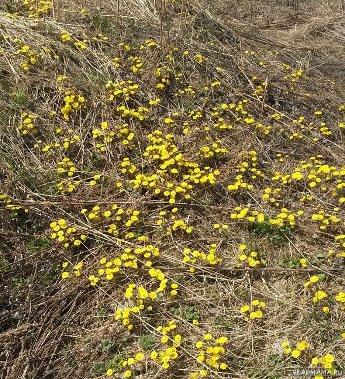 20170416 124413