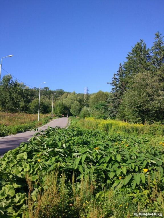 Трассы Школы олимпийского резерва зимних видов спорта
