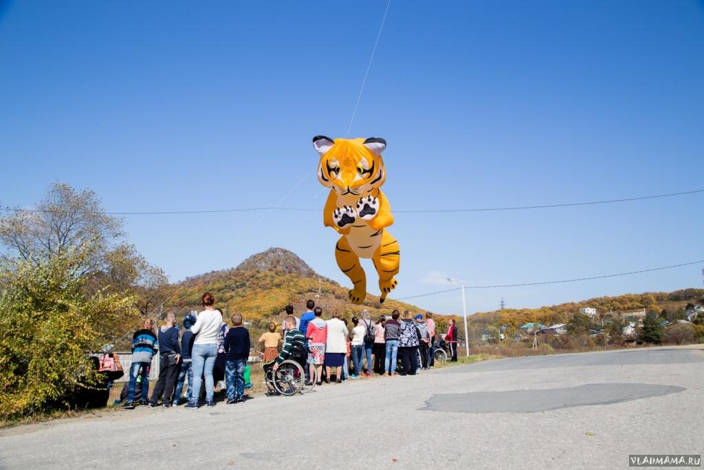 IMG 0563