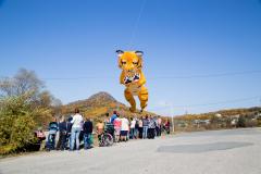IMG 0563