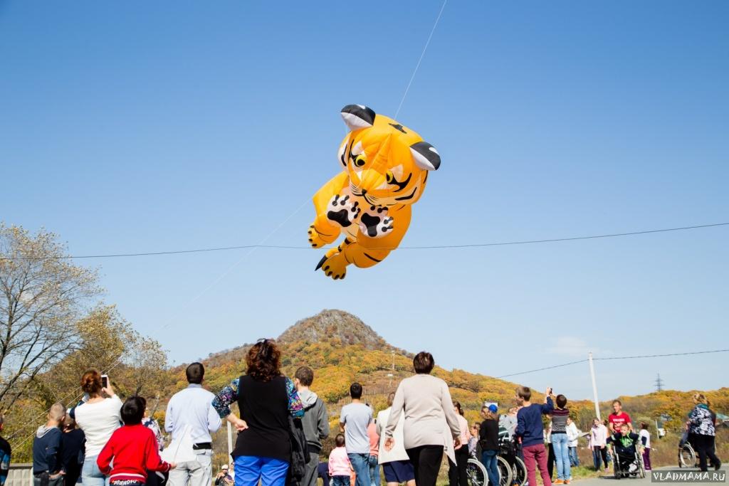 IMG 0572