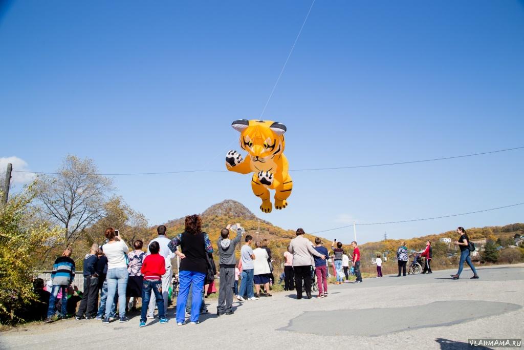 IMG 0573