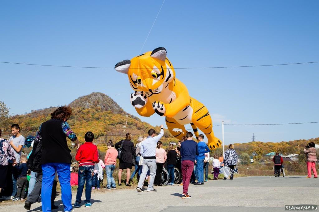 IMG 0577