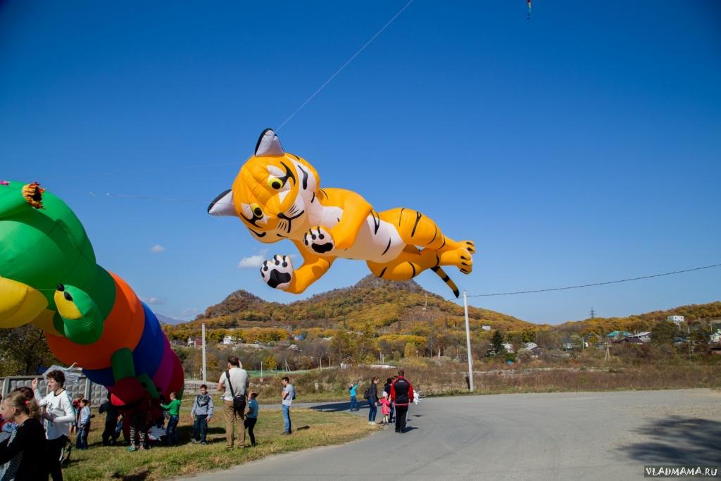 IMG 0614