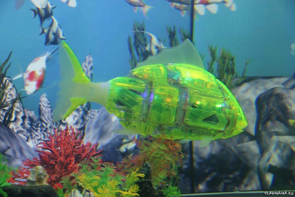 IMG 7525
