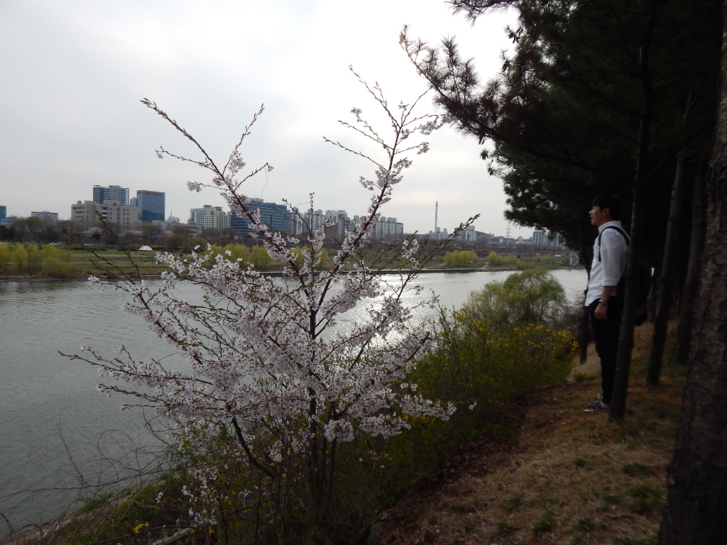 DSCN7535