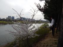 DSCN7535