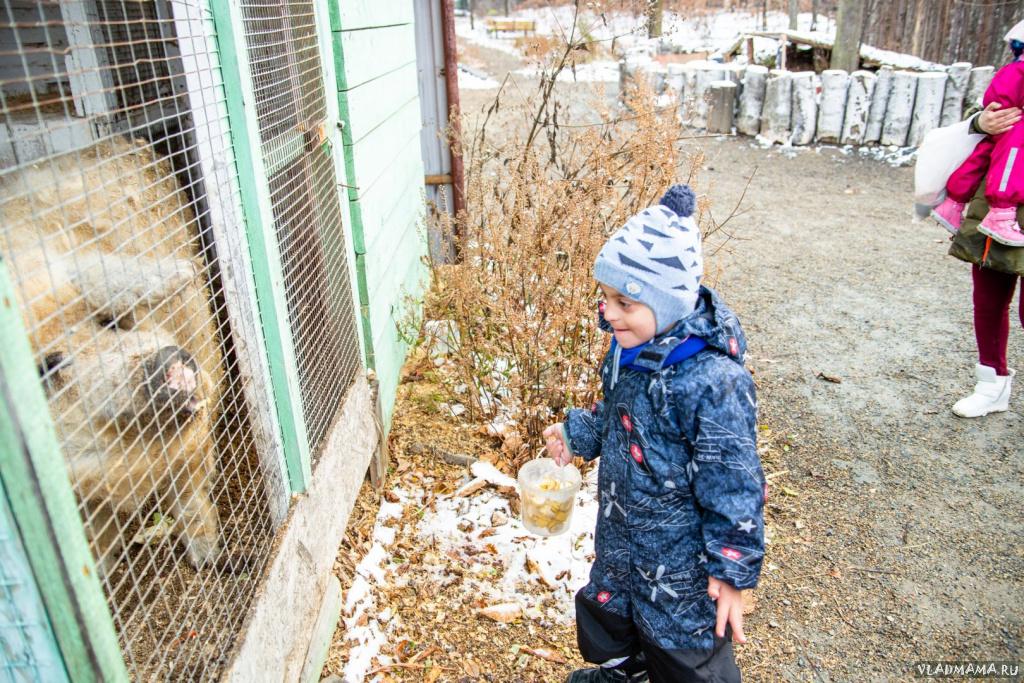 Поездка в зоопарк (5146)