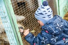 Поездка в зоопарк (5151)