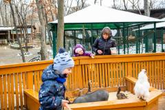 Поездка в зоопарк (5213)
