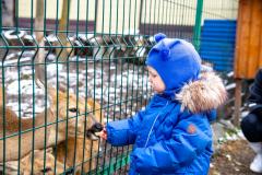 Поездка в зоопарк (5238)