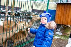 Поездка в зоопарк (5239)