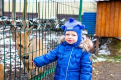Поездка в зоопарк (5241)