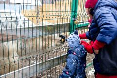 Поездка в зоопарк (5253)
