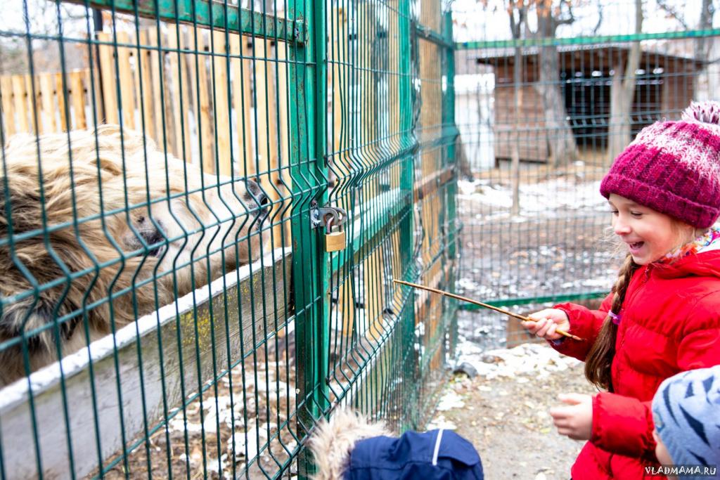 Поездка в зоопарк (5255)