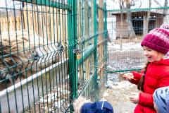 Поездка в зоопарк (5255)