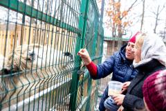 Поездка в зоопарк (5260)