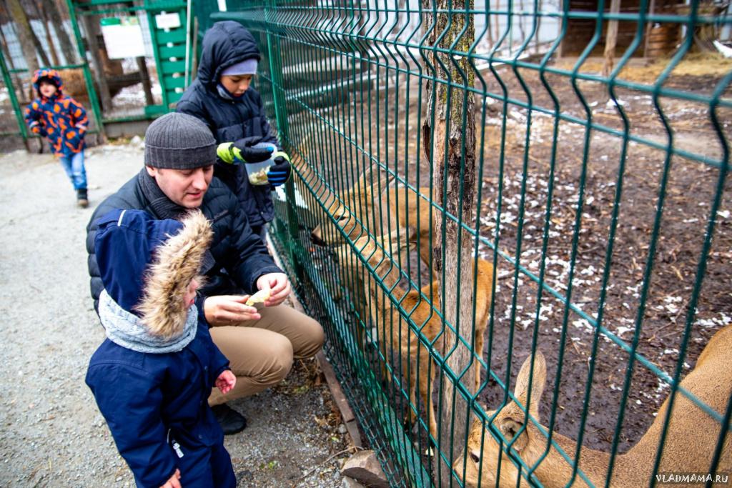 Поездка в зоопарк (5266)