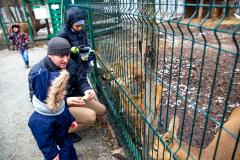 Поездка в зоопарк (5266)