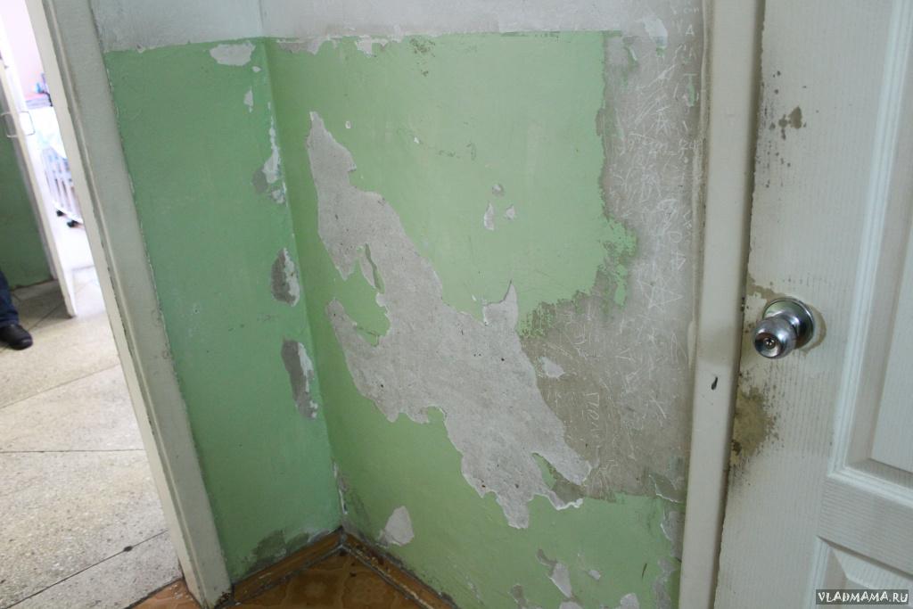 IMG 0559