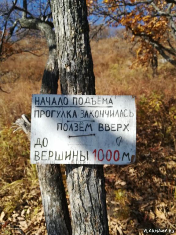 Гора Сестра