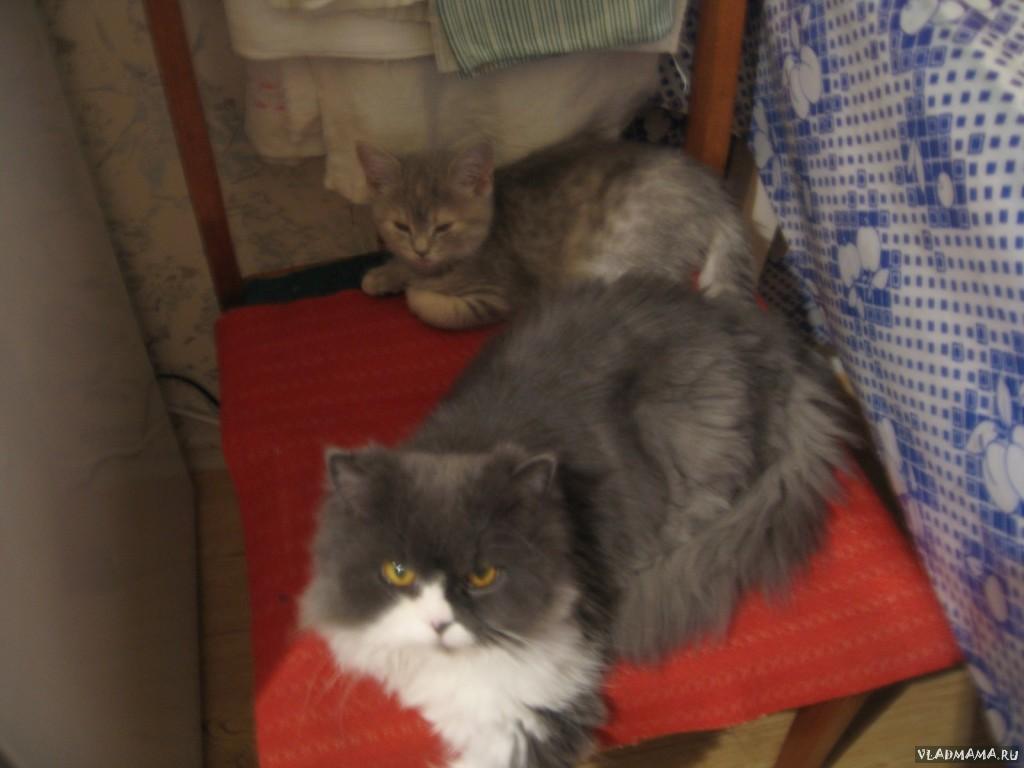 IMG 0554